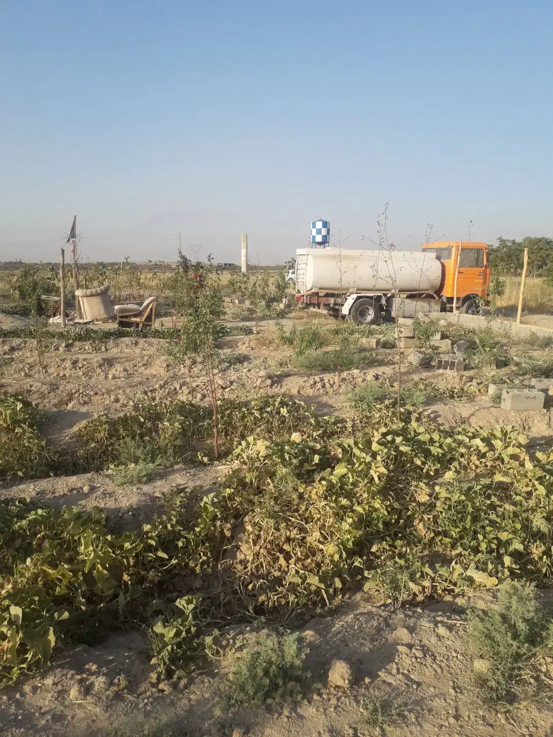 فروش باغچه نقلی|فروش زمین و ملک کلنگی|رباطکریم, شترخوار|دیوار