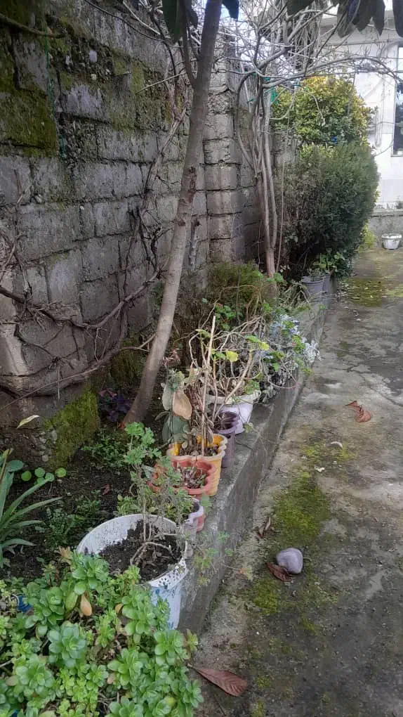 راهنمایی کافه شریکی|اجارهٔ مغازه و غرفه|رشت, آتشگاه|دیوار