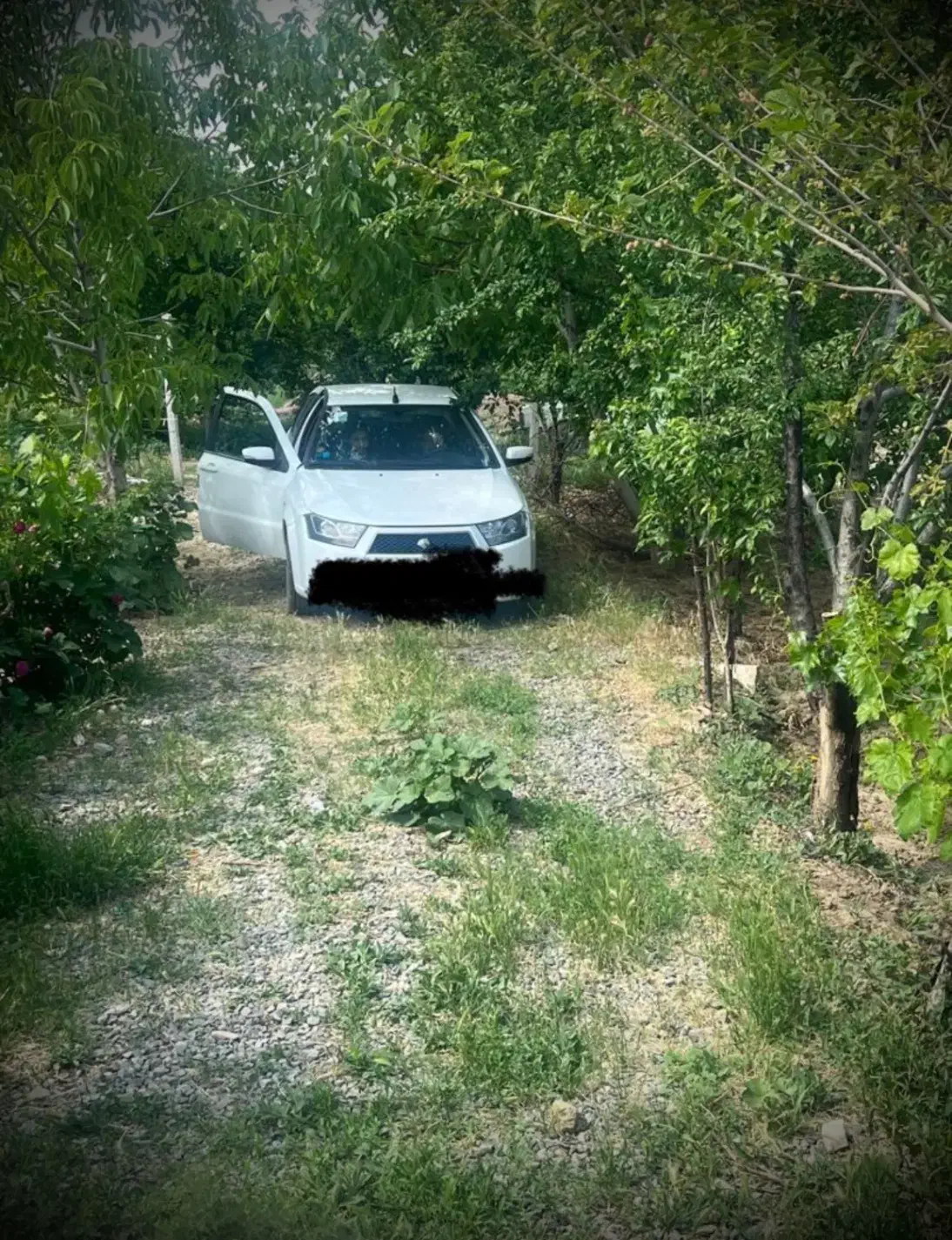 فروش باغ|فروش زمین و ملک کلنگی|انزل, |دیوار