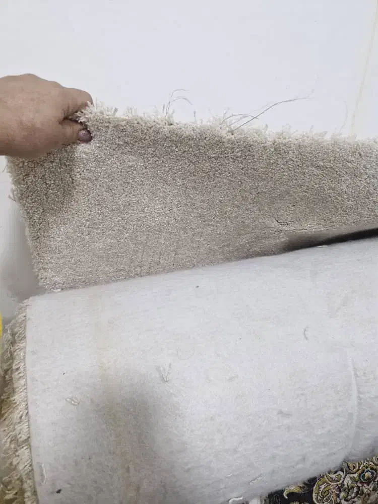 فرش ۱۲ متری فروشی|فرش|بندرعباس, |دیوار