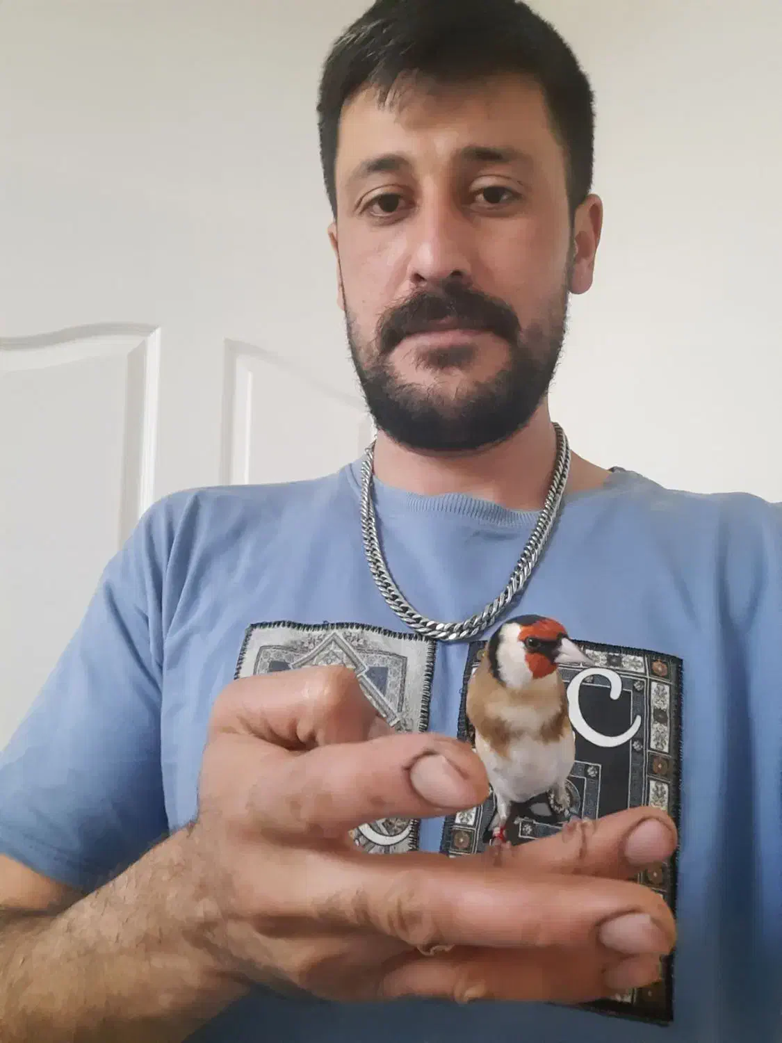 سهره متولد قفس|پرنده|فردیس, سرحد آباد|دیوار