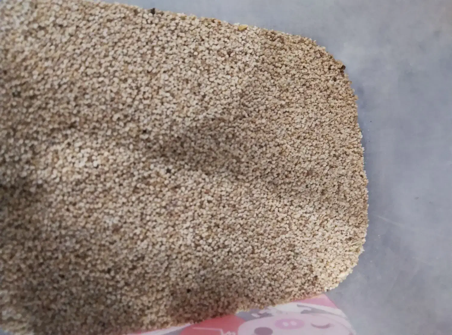 بذر مخصوص شاهیوند|گل و گیاه طبیعی|خرم‌آباد, |دیوار