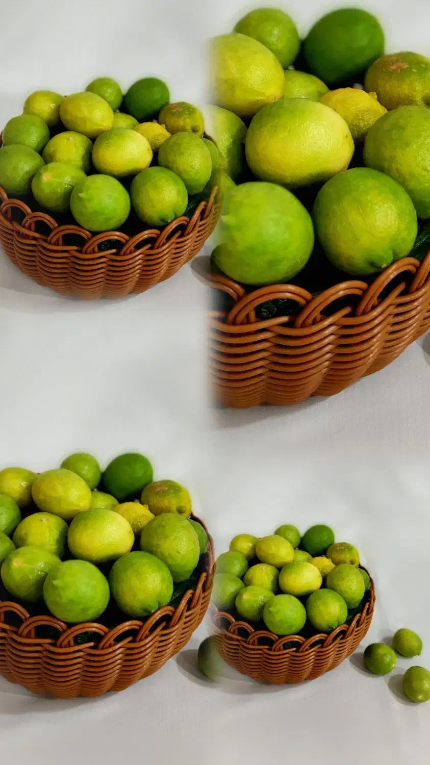 سبدبافی مفتول نقش ارغوان|صنایع دستی و سایر لوازم تزئینی|بهبهان, |دیوار