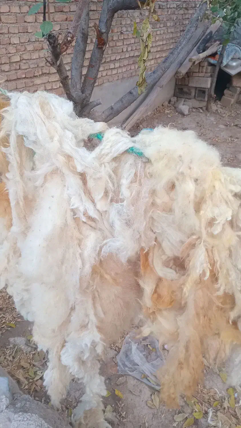 لحاف تشک|تشک تختخواب|مرند, |دیوار