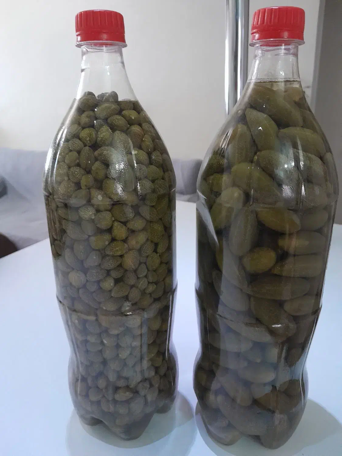 هندوانه‌ی‌کوهی‌یاهمان‌داغ‌قارپیزی|خوردنی و آشامیدنی|تبریز, |دیوار