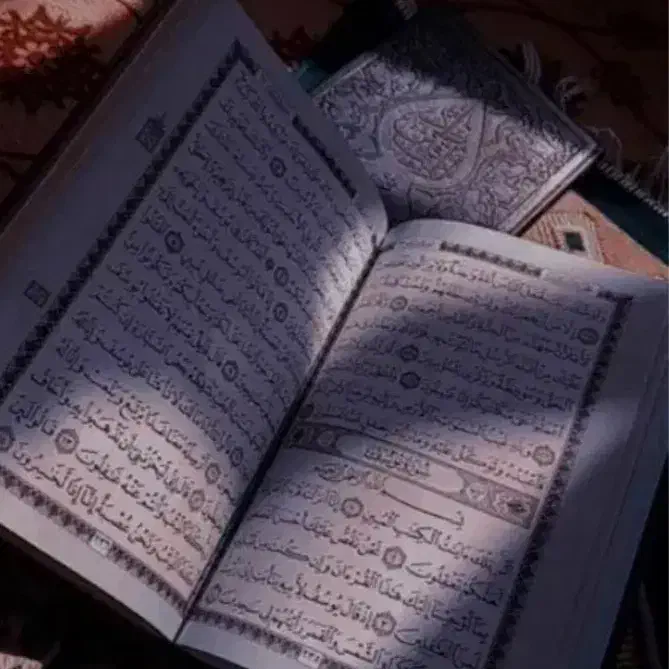 فال و سرکتاب|فعالیت داوطلبانه|تهران, میدان ولیعصر|دیوار