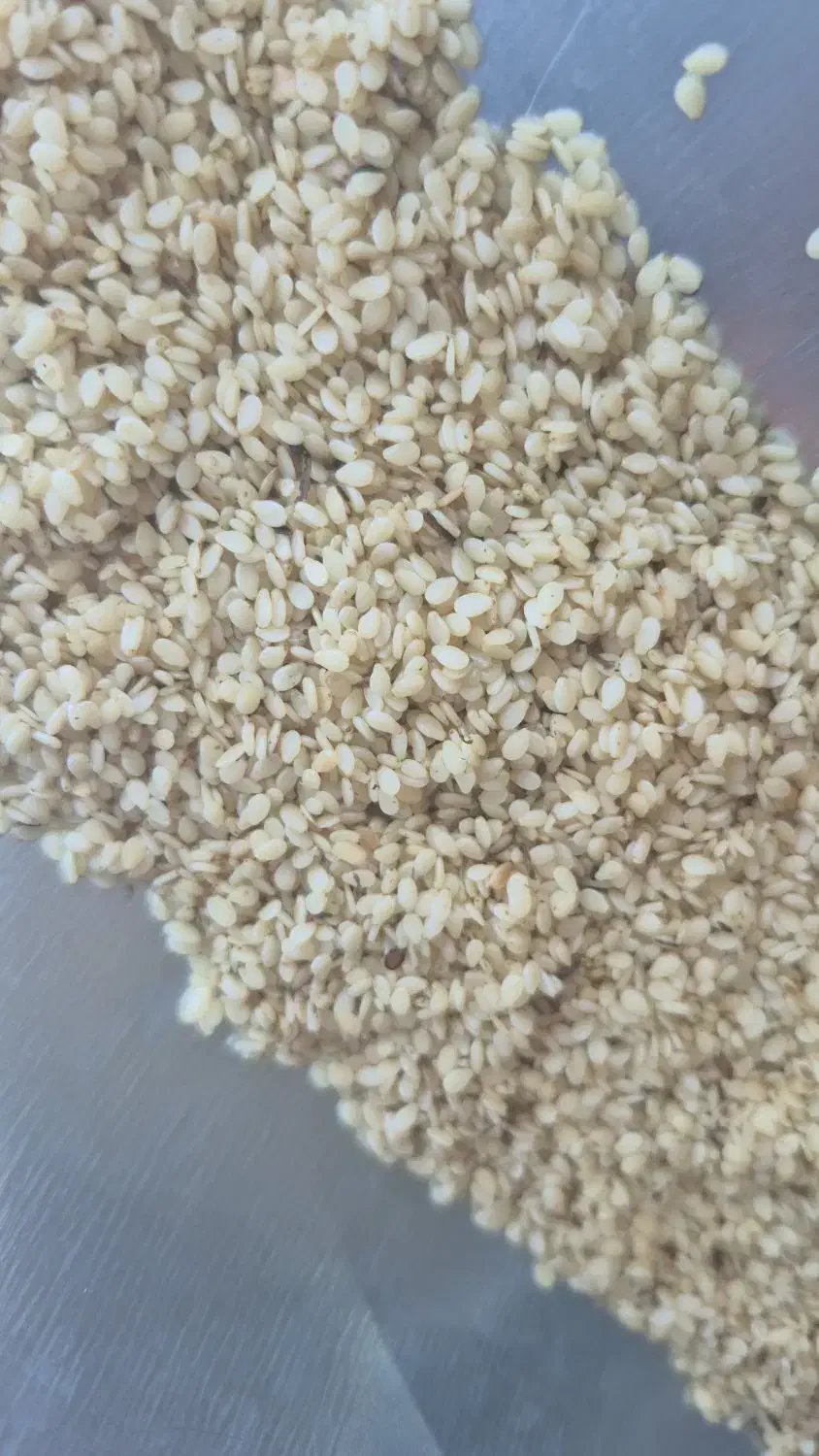 استخدام نیروی کارگر آقا|استخدام صنعتی، فنی، مهندسی|شیراز, منطقه ویژه اقتصادی|دیوار