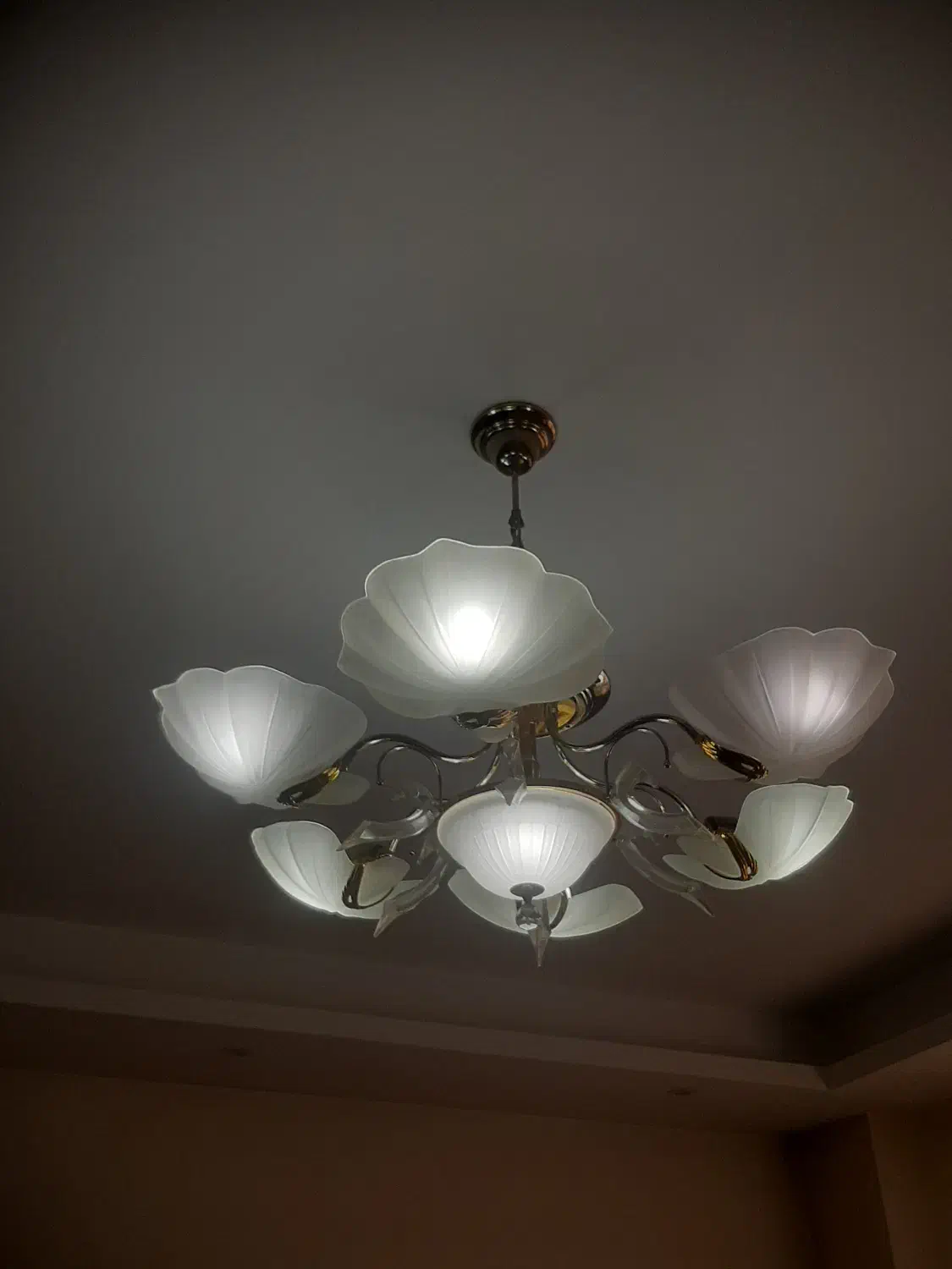 لوستر|لوستر و چراغ آویز|کرج, شهرک فهمیده|دیوار