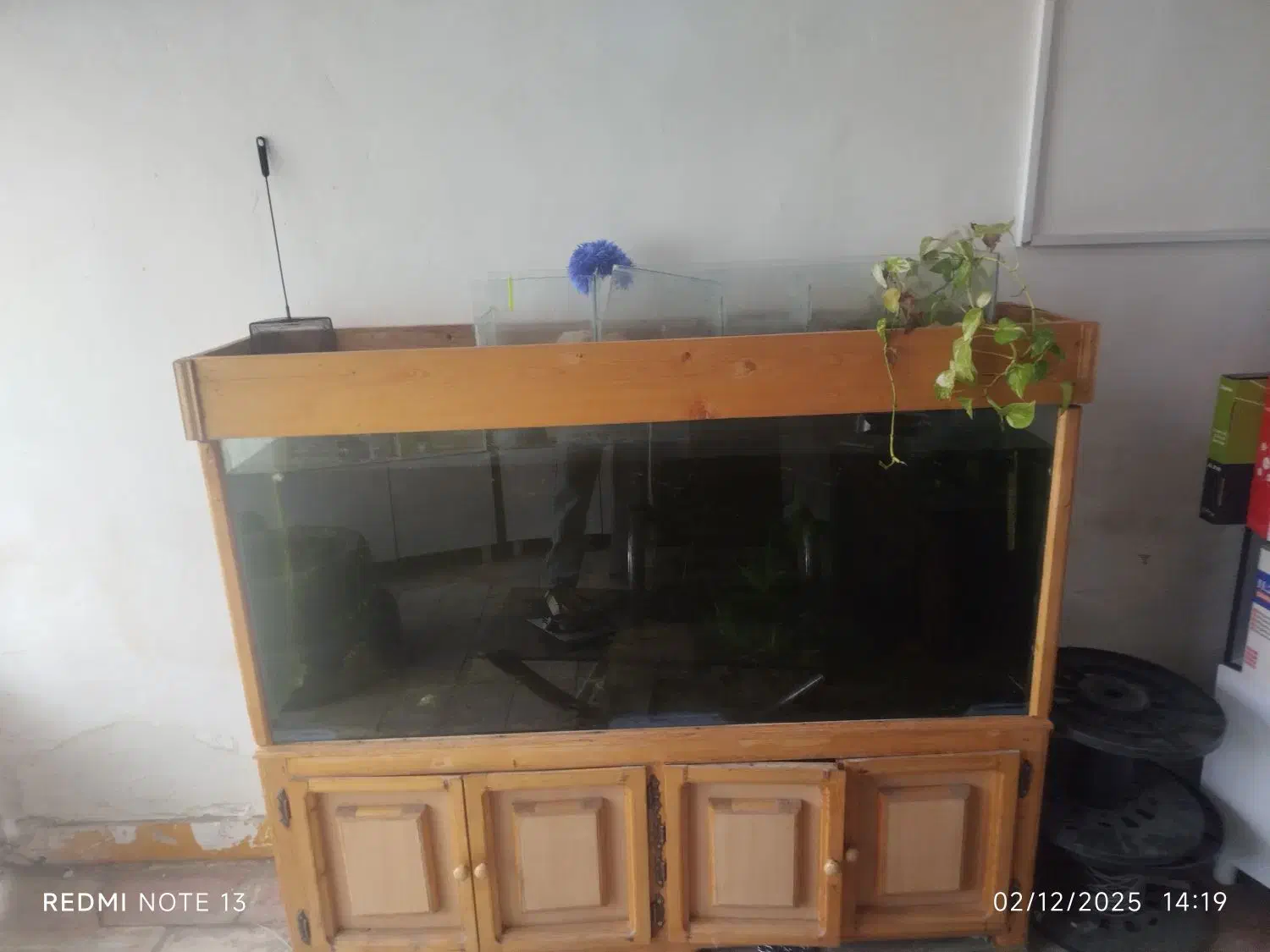 اکواریم بزرگ و زیبا|ماهی|خمین, |دیوار