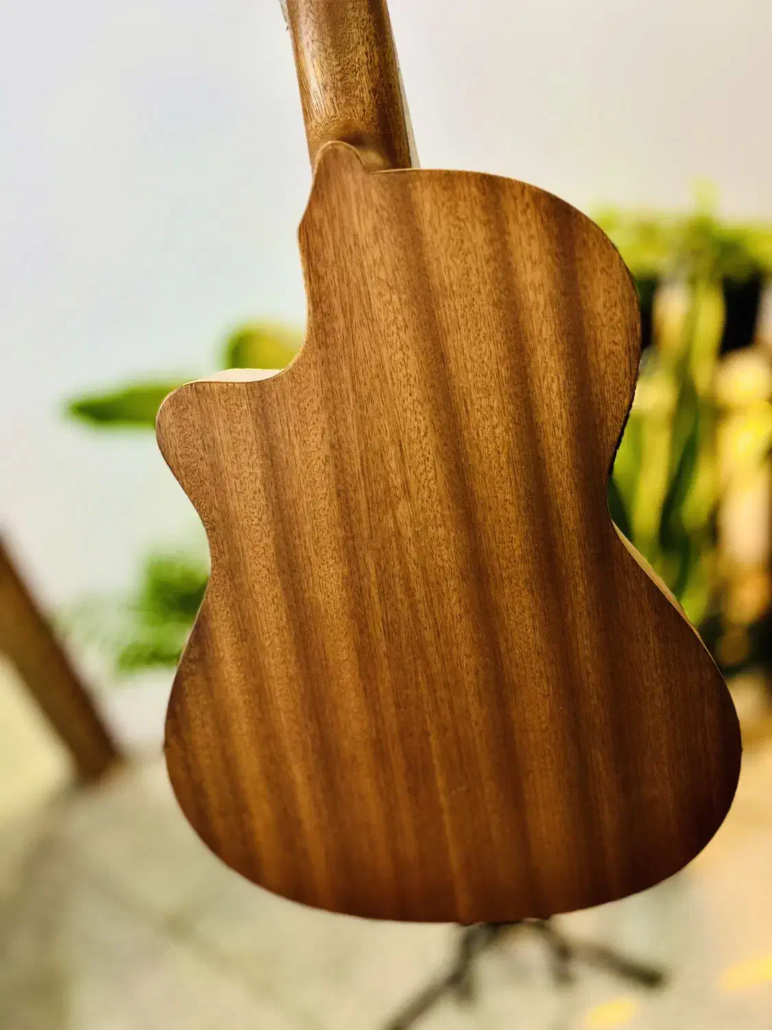 گیتار الحمبرا z nature ct ez|گیتار، بیس، امپلیفایر|مراغه, |دیوار