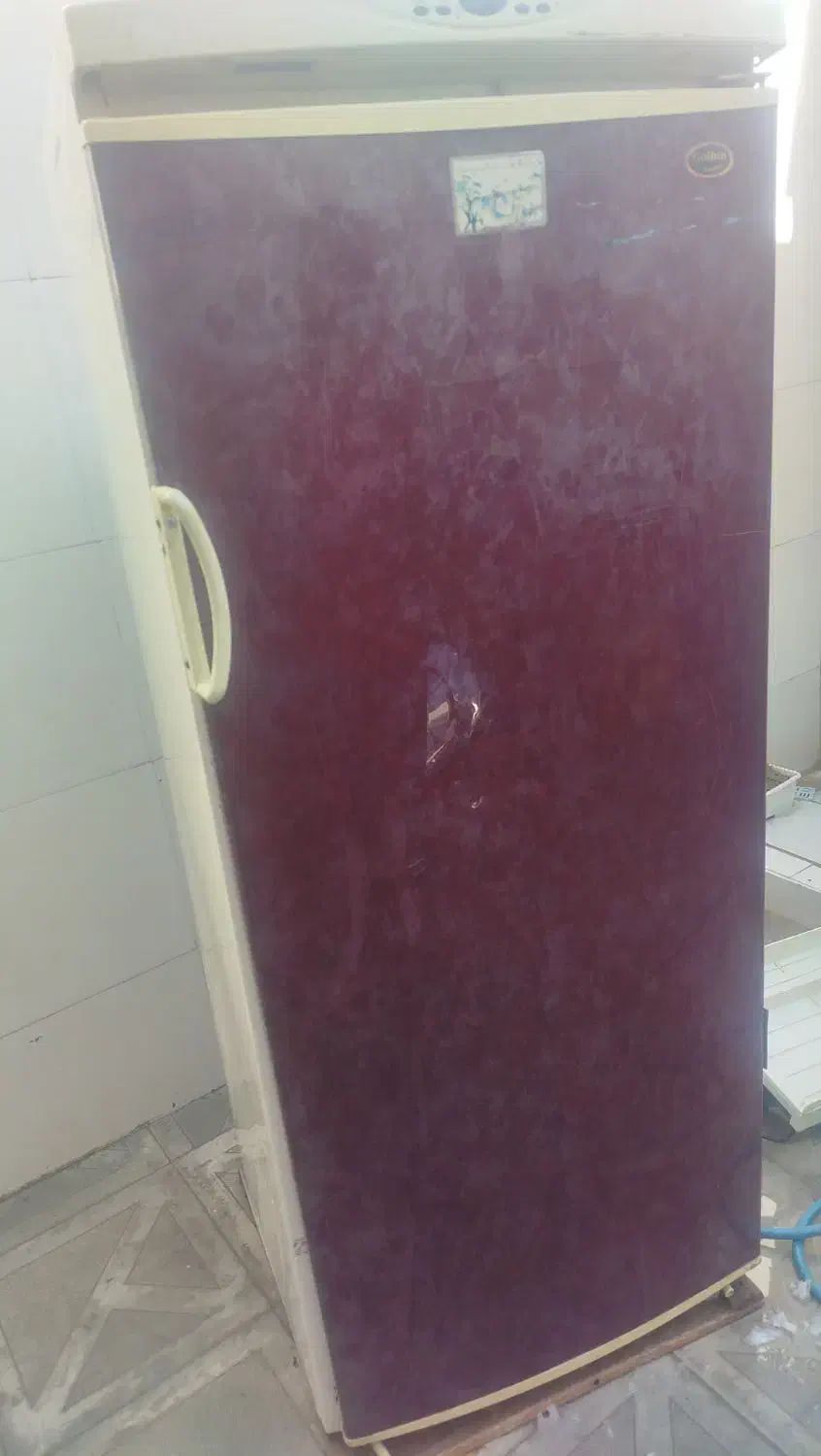 یک عدد یخچال|یخچال و فریزر|داراب, |دیوار