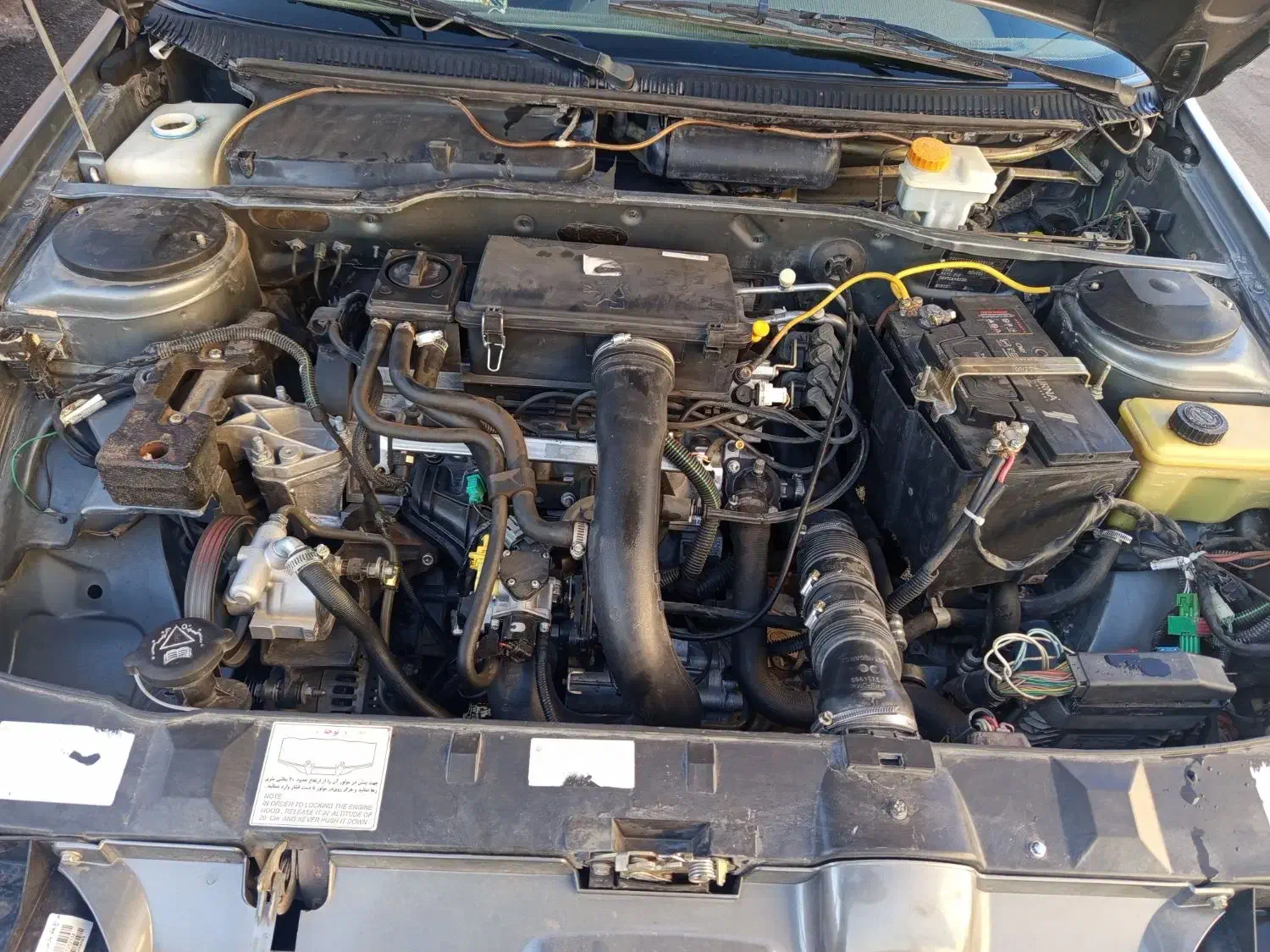 فروش|خودرو سواری و وانت|بردسیر, |دیوار