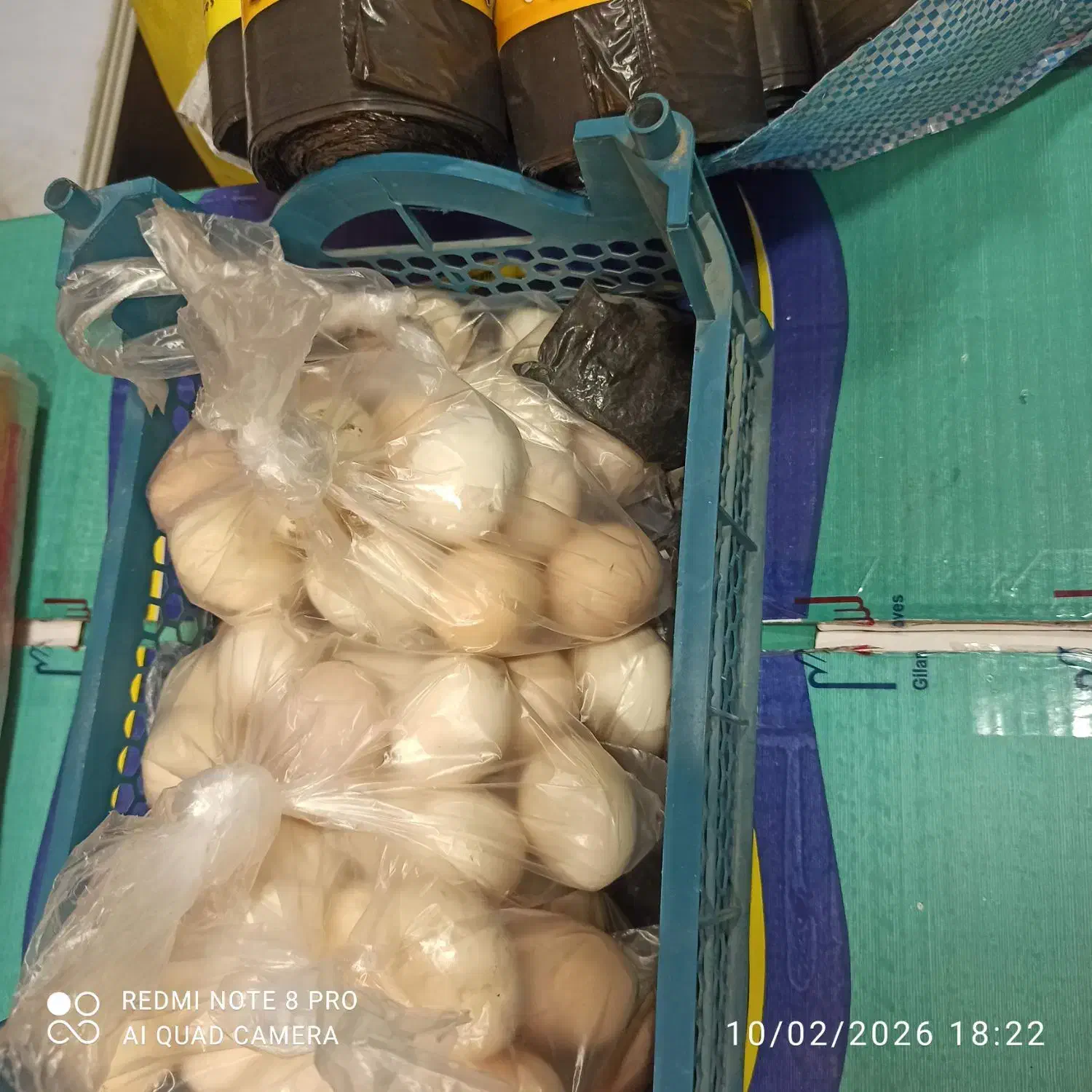 تخم مرغ بومی|خوردنی و آشامیدنی|اصفهان, کنگاز|دیوار