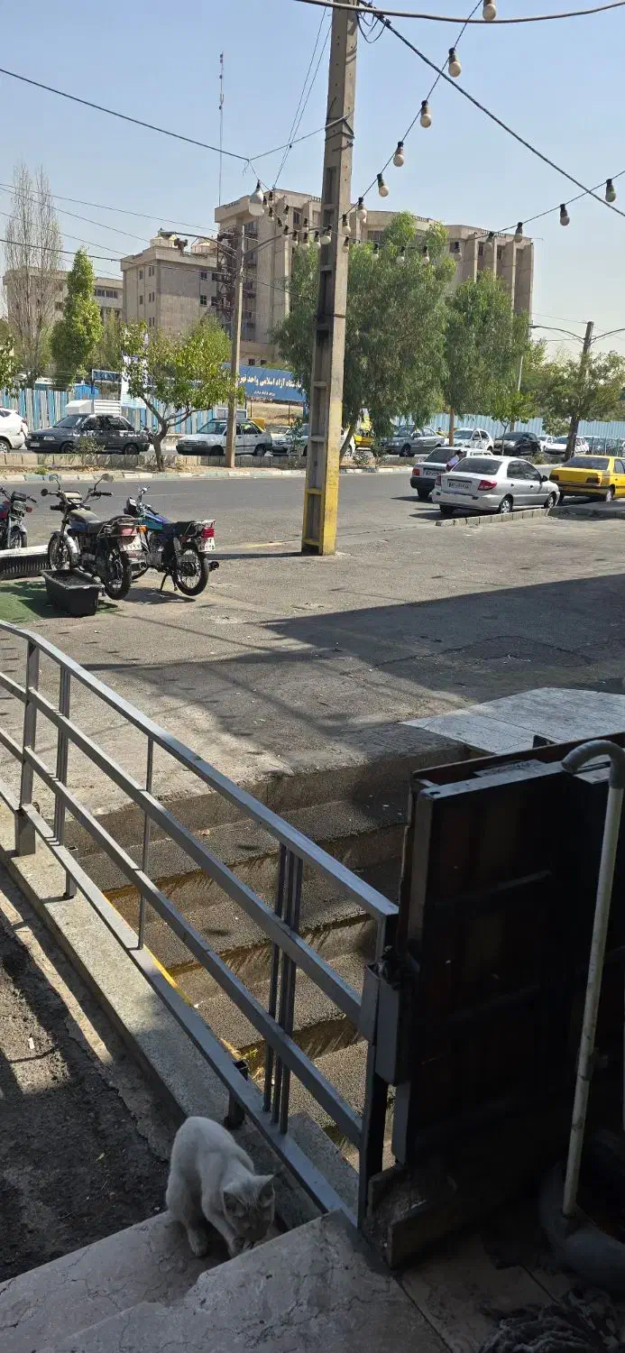 جذب پژوهشگر خدمات دانشجویی فدک|استخدام رایانه و فناوری اطلاعات|تهران, استخر|دیوار