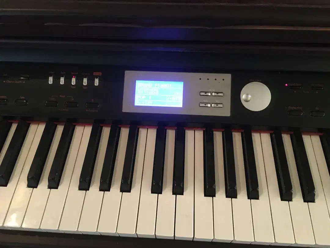 فروش پیانو|پیانو، کیبورد، آکاردئون|زنجان, |دیوار