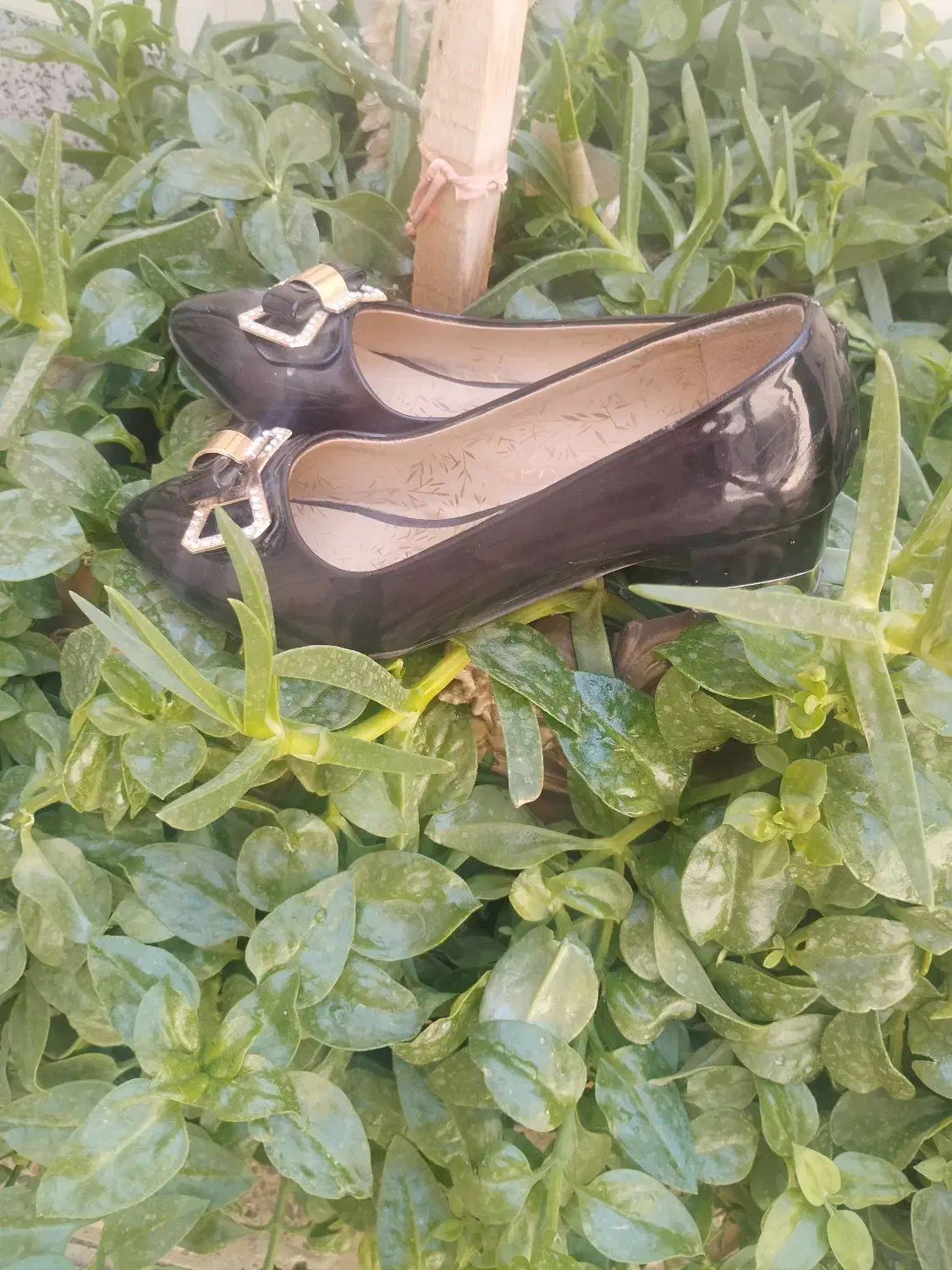 تعدادی لبلاس درحدنوباقیمتی باورنکردنی|لباس|فلاورجان, |دیوار