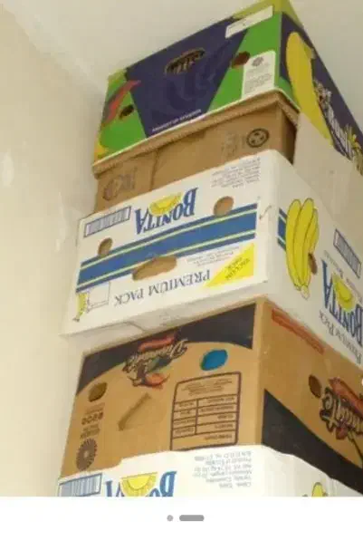 کارتن موزی|عمده‌فروشی|مهریز, |دیوار