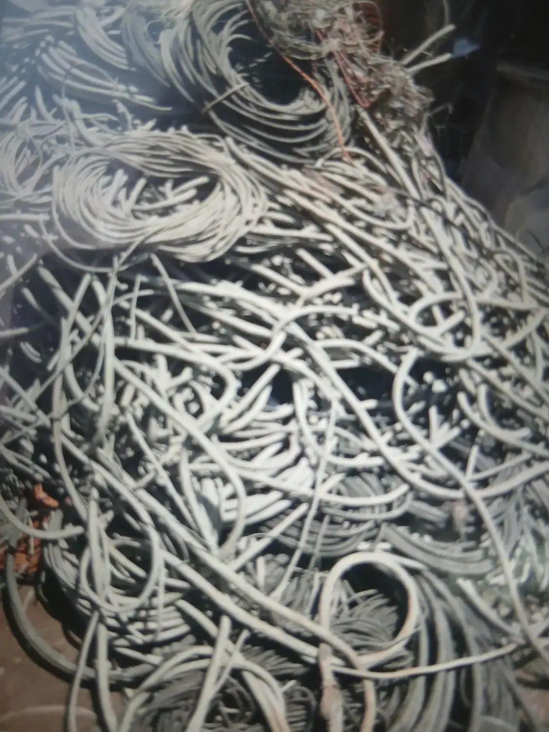 خرید سیم کابل سیم سالم و خراب کابل سیم|مصالح و تجهیزات ساختمان|تهران, سید خندان (جلفا)|دیوار