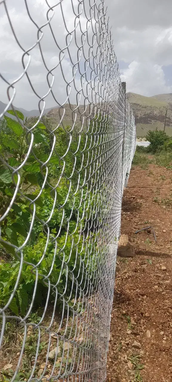 باغ ۱۰۰۰متری مدارک تکمیل|فروش دفتر صنعتی، کشاورزی، تجاری|کرمانشاه, |دیوار