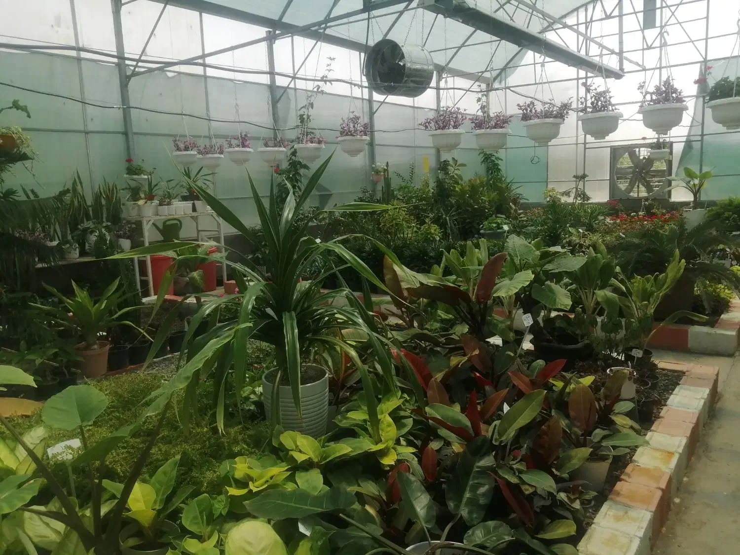 خاک باغچه غنی شده وکود حیوانی وماسه قلمه|خدمات باغبانی و درختکاری|مشهد, کوشک مهدی|دیوار