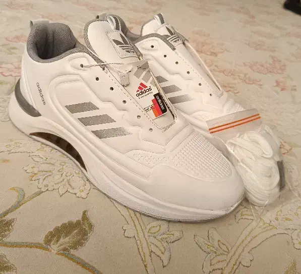 کفش|کیف، کفش، کمربند|مشهد, موسوی قوچانی|دیوار