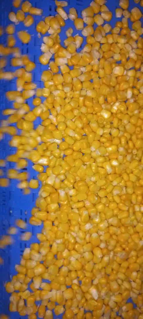 ذرت شیرین،ذرت شیرین یخ زده|خوردنی و آشامیدنی|تهران, شهرک فرهنگیان|دیوار