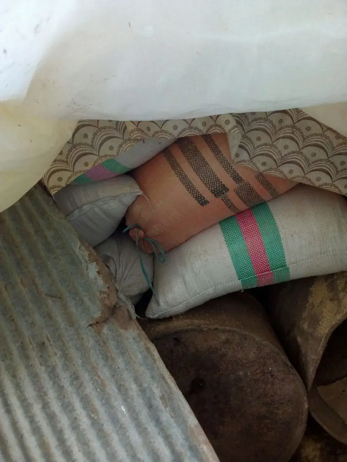 سبوس برنج فل کود مرغی|لوازم جانبی حیوانات|آستانه اشرفیه, |دیوار