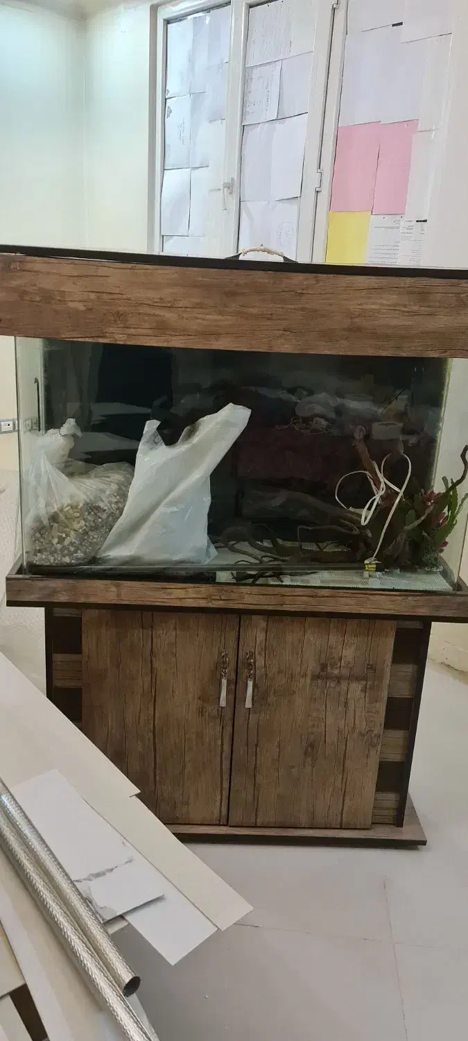 فروش اکواریوم با تمام لوازم قیمت استثنایی|ماهی|تهران, تسلیحات|دیوار