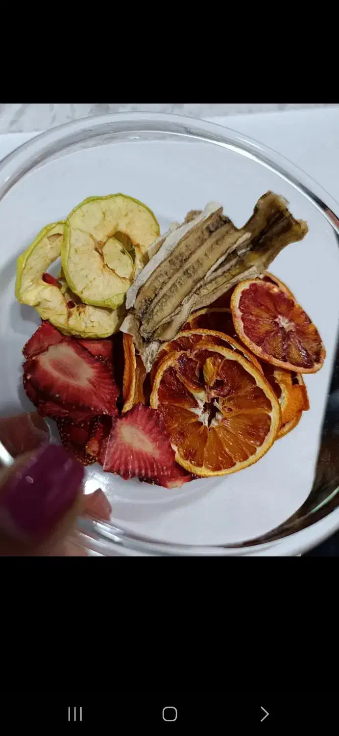 میوه خشک کن ،  نو ، کف قیمت بازار|سایر لوازم برقی|خمین, |دیوار