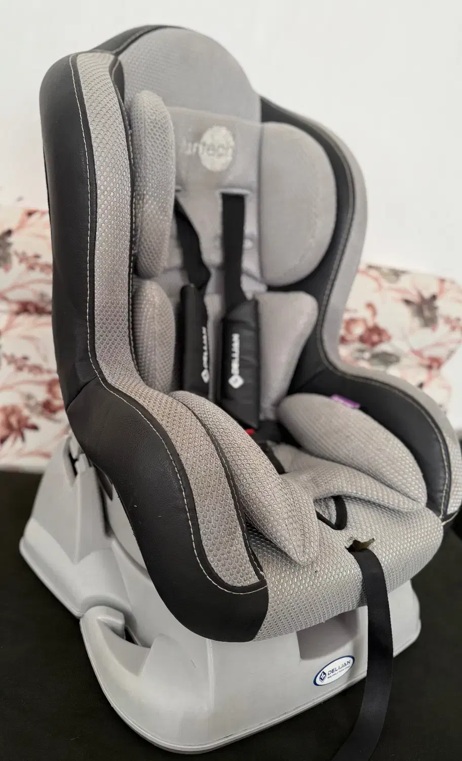 دلیجان مدل  ایرتک|تخت و صندلی بچه|قشم, |دیوار