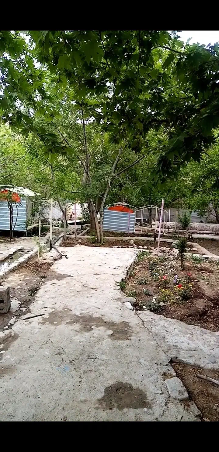 باغ ویلا اجاره ای روزانه سالانه|اجارهٔ خانه و ویلا|کاشمر, |دیوار