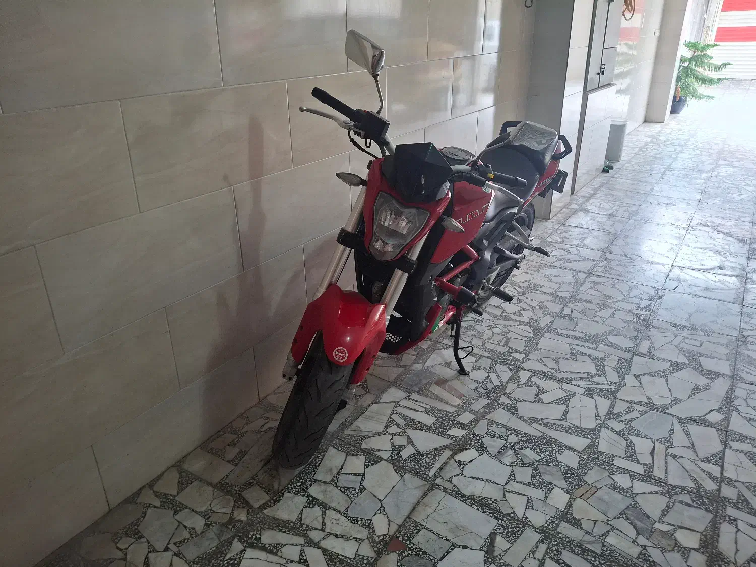 بنلی 250 تک|موتورسیکلت|بندر انزلی, کارآموزی|دیوار