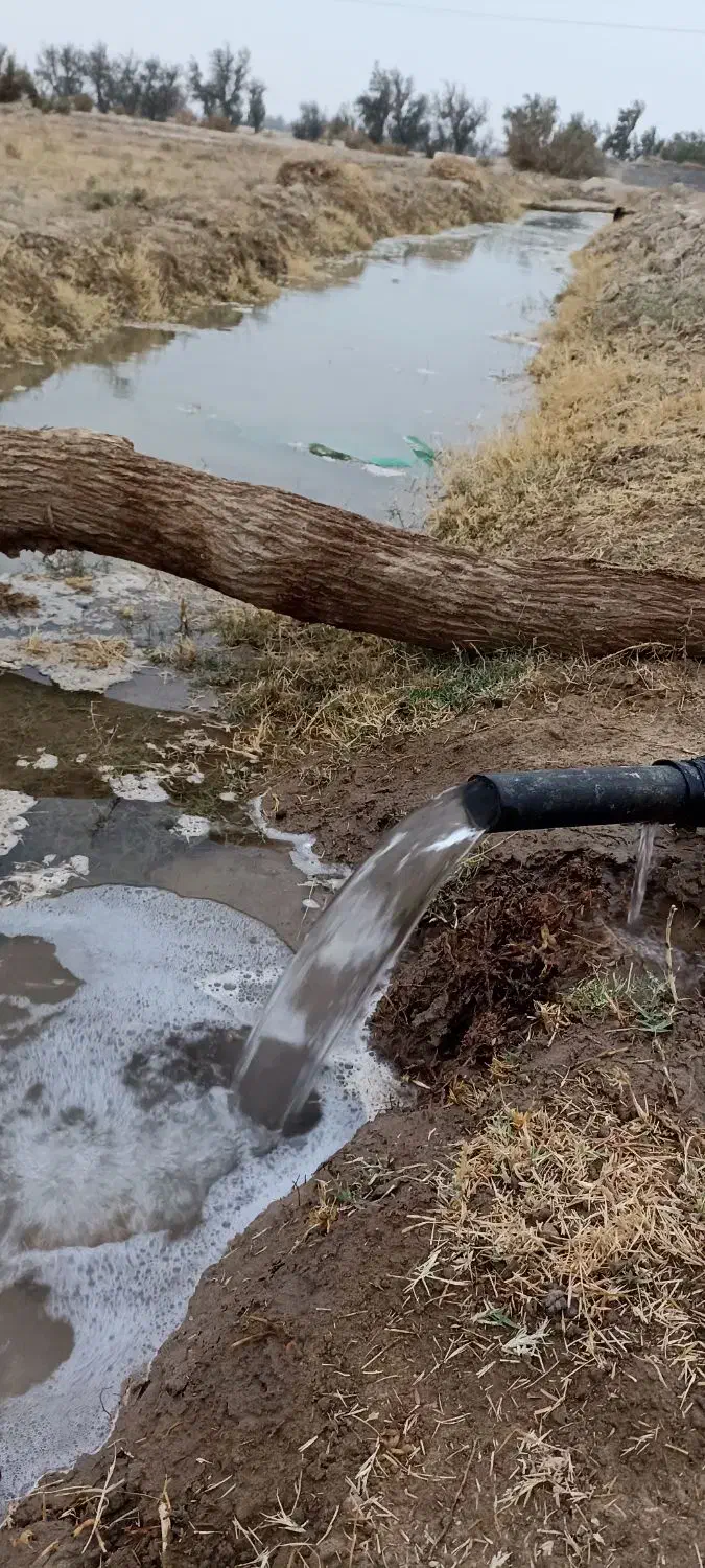 زمین کشاورزی باتمام امکانات|اجارهٔ دفتر صنعتی، کشاورزی، تجاری|نیمروز, |دیوار