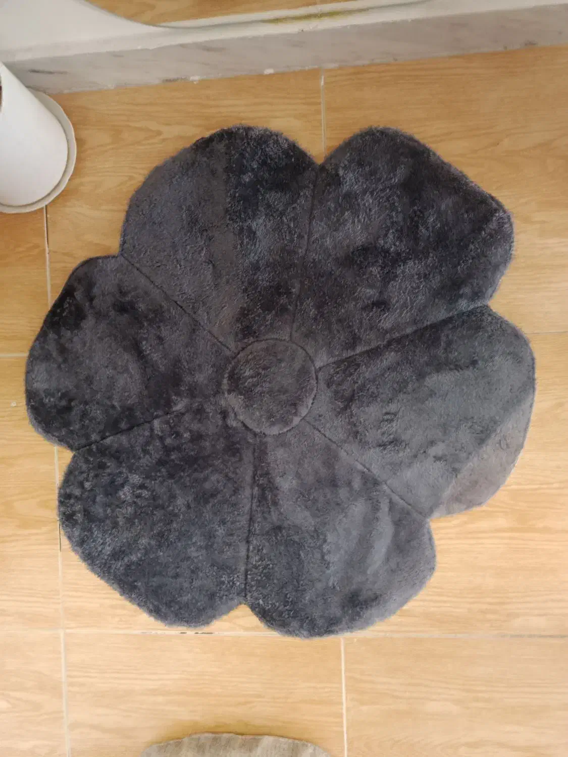 پادری جدید 1404|پادری|سنندج, |دیوار