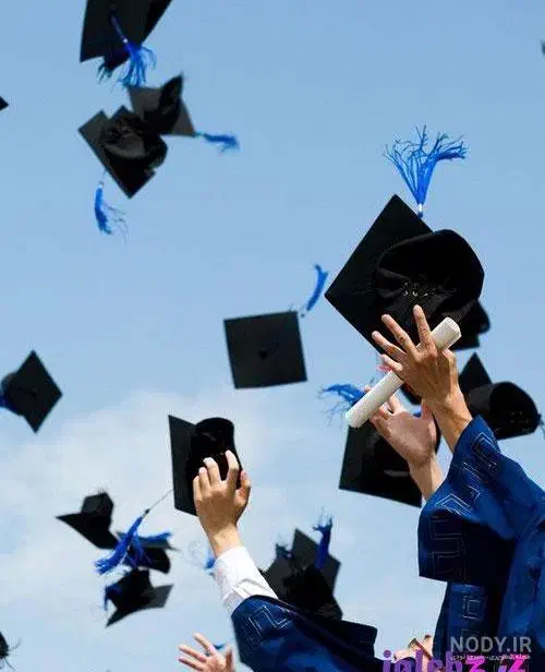 رشته های تخصصی دانشگاه|خدمات آموزشی|یاسوج, |دیوار