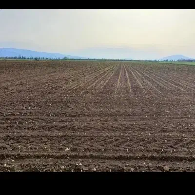 نیازمند زمین اجاره ای محدود مختار و دشتروم|خدمات باغبانی و درختکاری|یاسوج, |دیوار