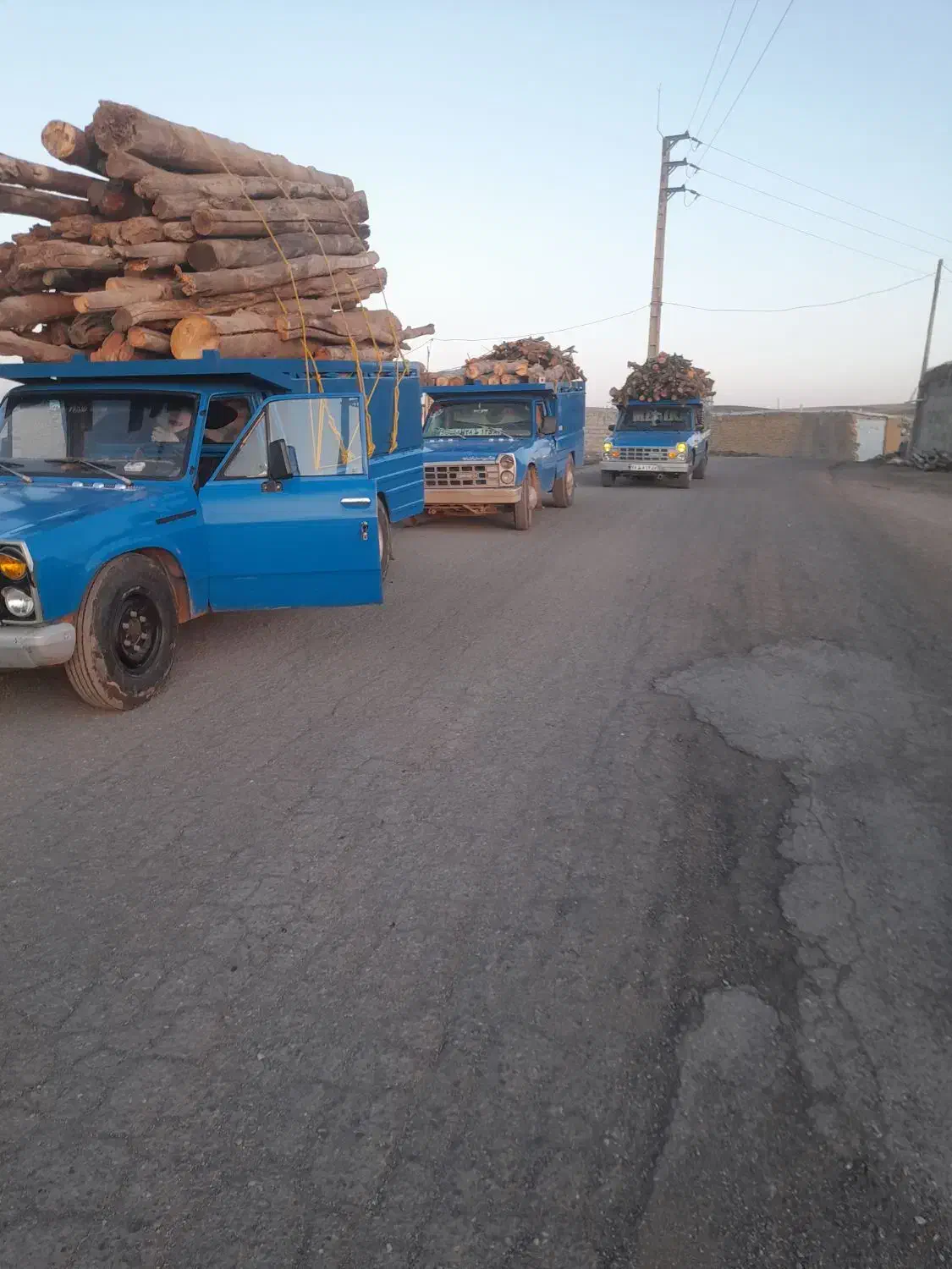 خرید چوب با بالاترین قیمت تسویه سر باسکول|خدمات باغبانی و درختکاری|زنجان, |دیوار