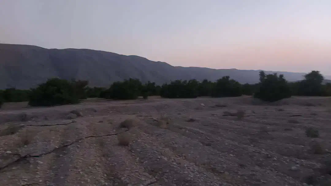 یک موقعیت استثنایی برای صاحب باغ شدن با نصف قیمت|فروش دفتر صنعتی، کشاورزی، تجاری|جهرم, |دیوار