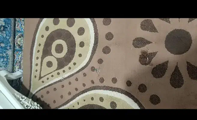 گلیم فرش|گلیم، جاجیم، گبه|زاهدان, |دیوار