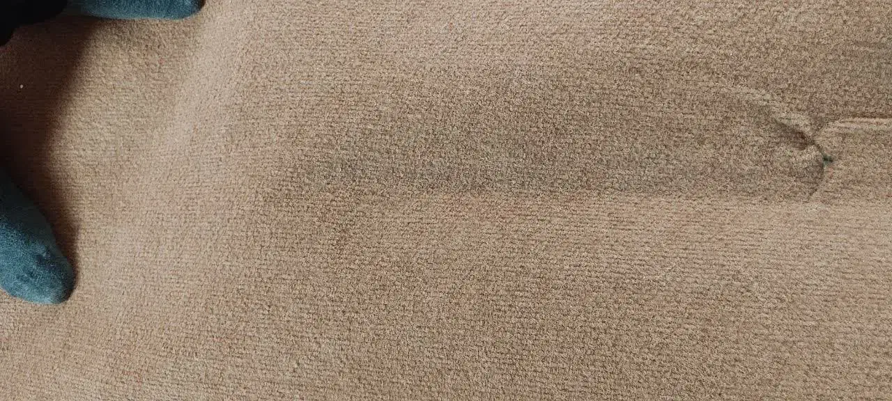 موکت کبریتی|موکت|کرج, شهرک فهمیده|دیوار