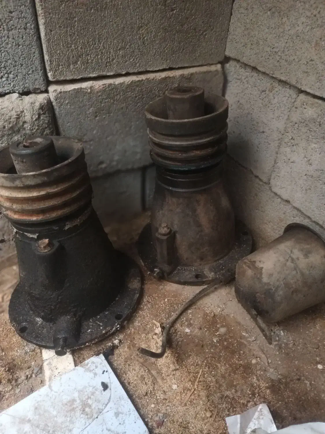 فوری|خدمات باغبانی و درختکاری|بیکاه, |دیوار