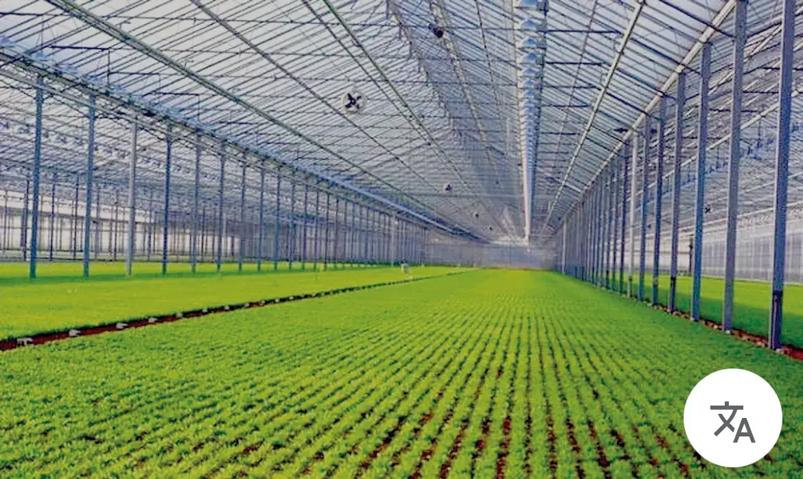 گارگر روزانه گلخانه|استخدام صنعتی، فنی، مهندسی|درگزین, |دیوار