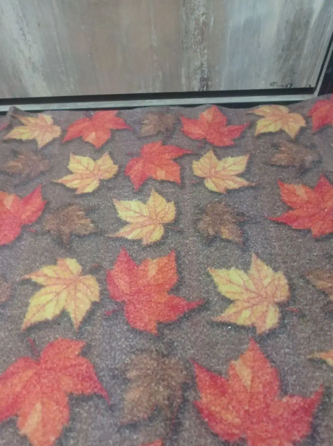 موکت|موکت|پرند, فاز ۴|دیوار