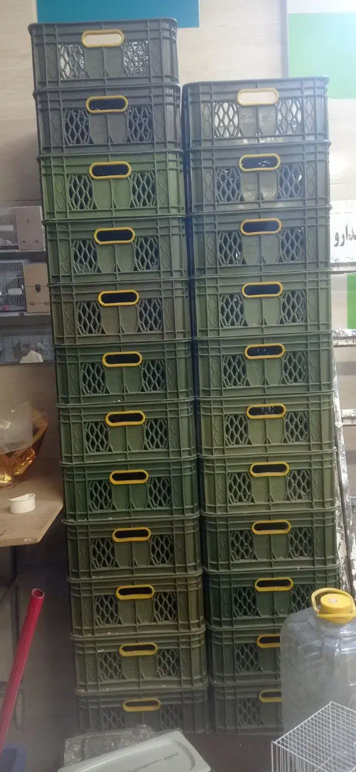 سبد لبنیلتی یا قصابی|فروشگاه و مغازه|مشهد, چهارچشمه|دیوار