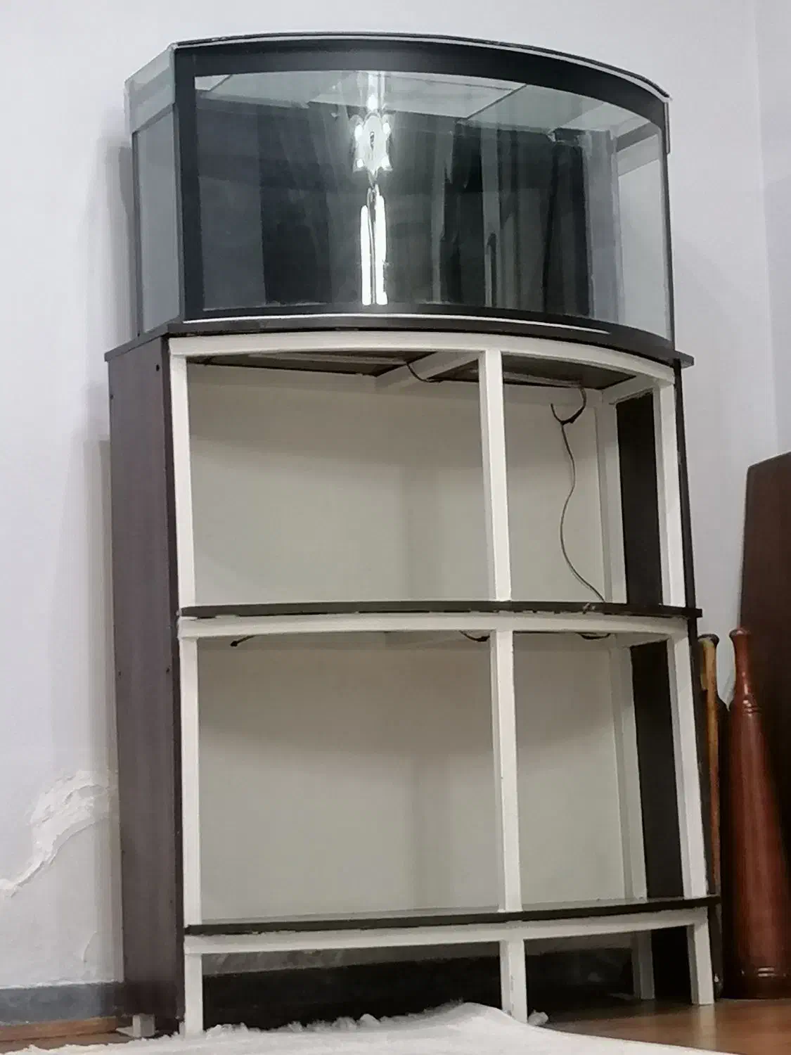 آکواریوم بامیز|ماهی|شیراز, میانرود|دیوار