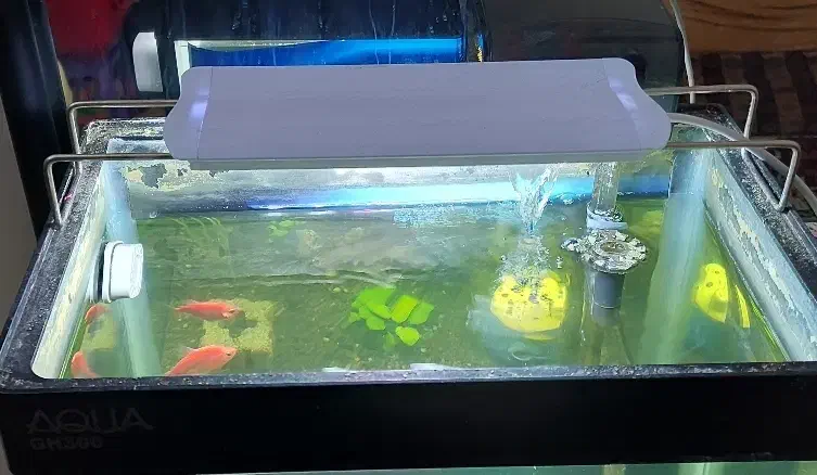 اکواریوم ۲۰ لیتری با تجهیزات کامل|ماهی|بروجن, |دیوار