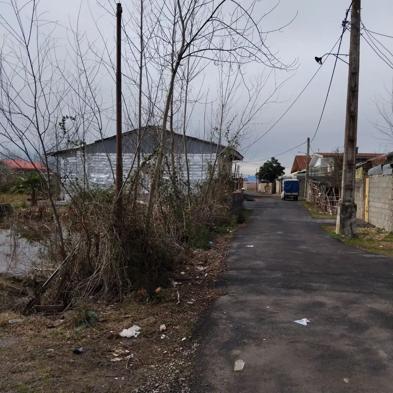 زمین مسکونی|فروش زمین و ملک کلنگی|رشت, سیا اسطلخ|دیوار