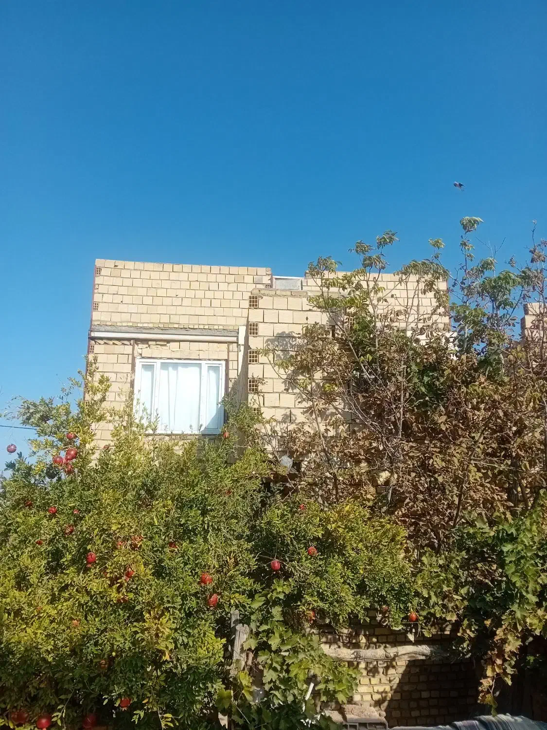 فروش خانه دو طبقه توافقی|فروش خانه و ویلا|دشتابی, |دیوار