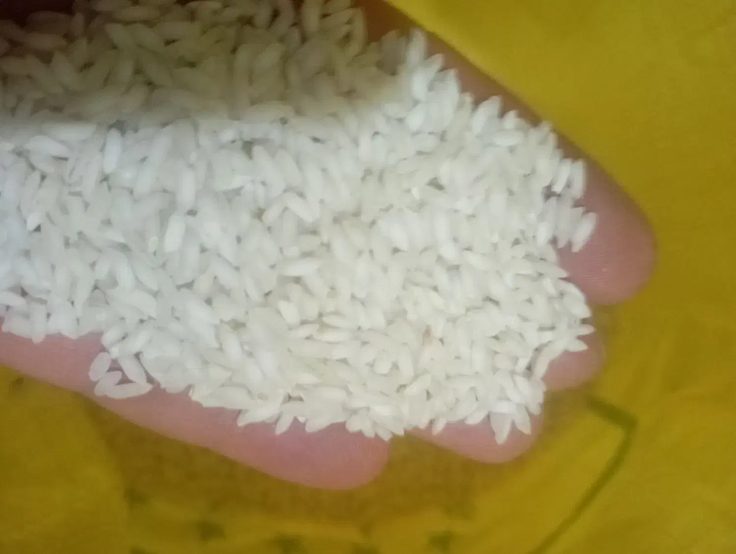 برنج عنبربو با ارسال رایگان|خوردنی و آشامیدنی|تهران, شکیبا|دیوار