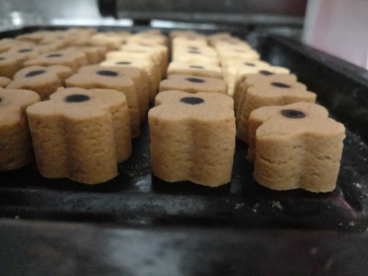 شیرینی نخودچی|خدمات پذیرایی، مراسم|بجنورد, |دیوار